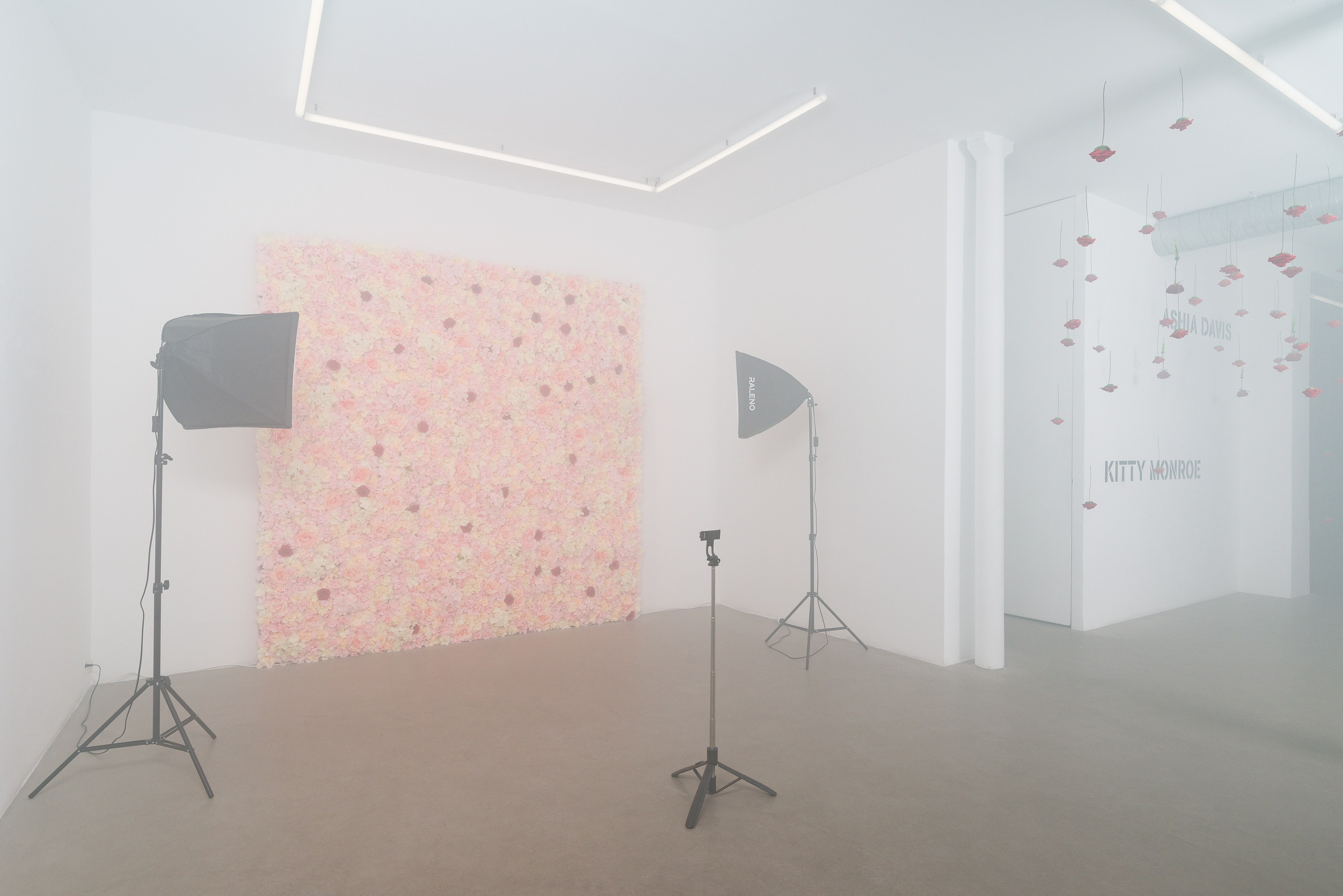 Puppies Puppies (Jade Guanaro Kuriki-Olivo), Trigger Warning at Galerie Balice Hertling, photo 5