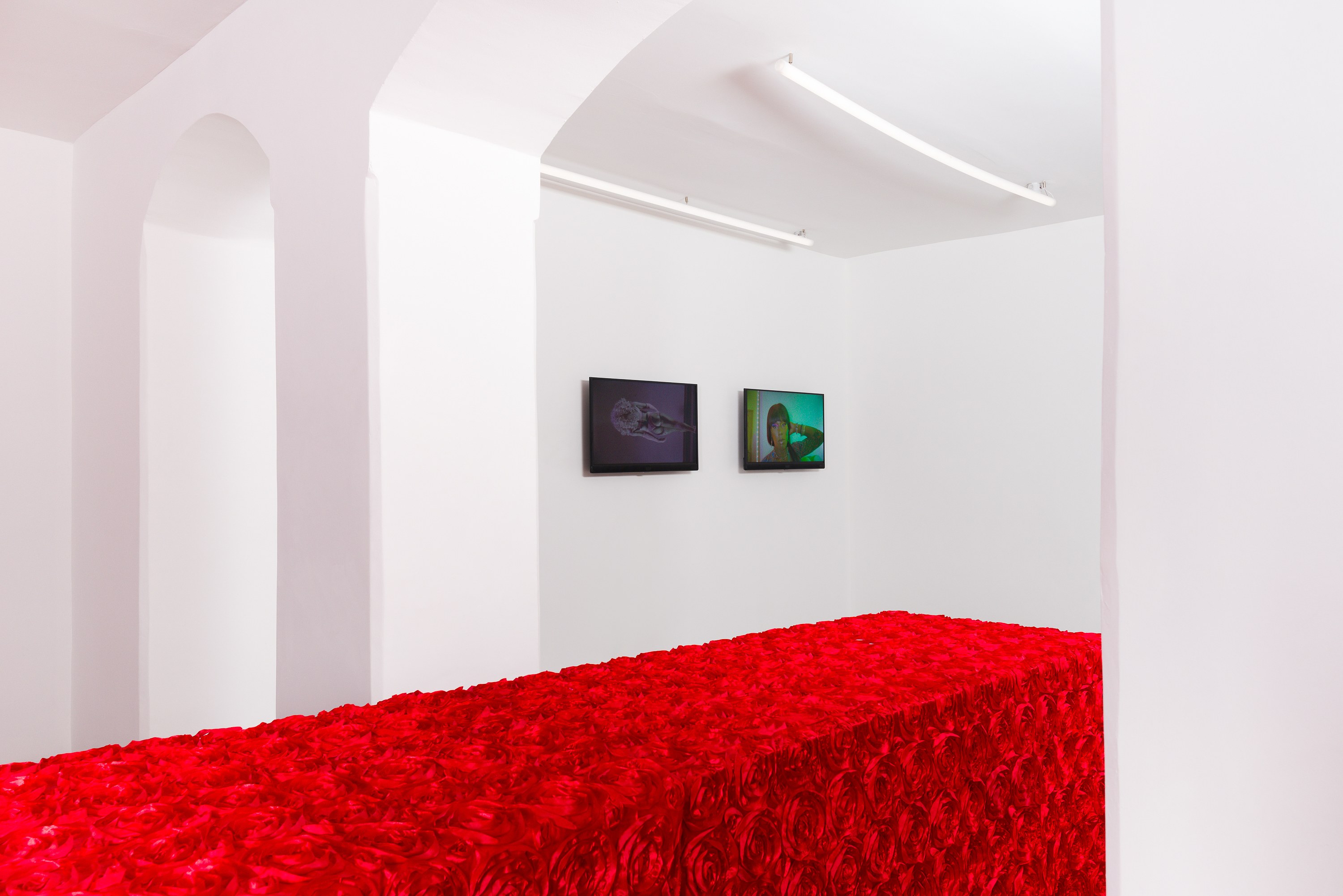 Puppies Puppies (Jade Guanaro Kuriki-Olivo), Trigger Warning at Galerie Balice Hertling, photo 20