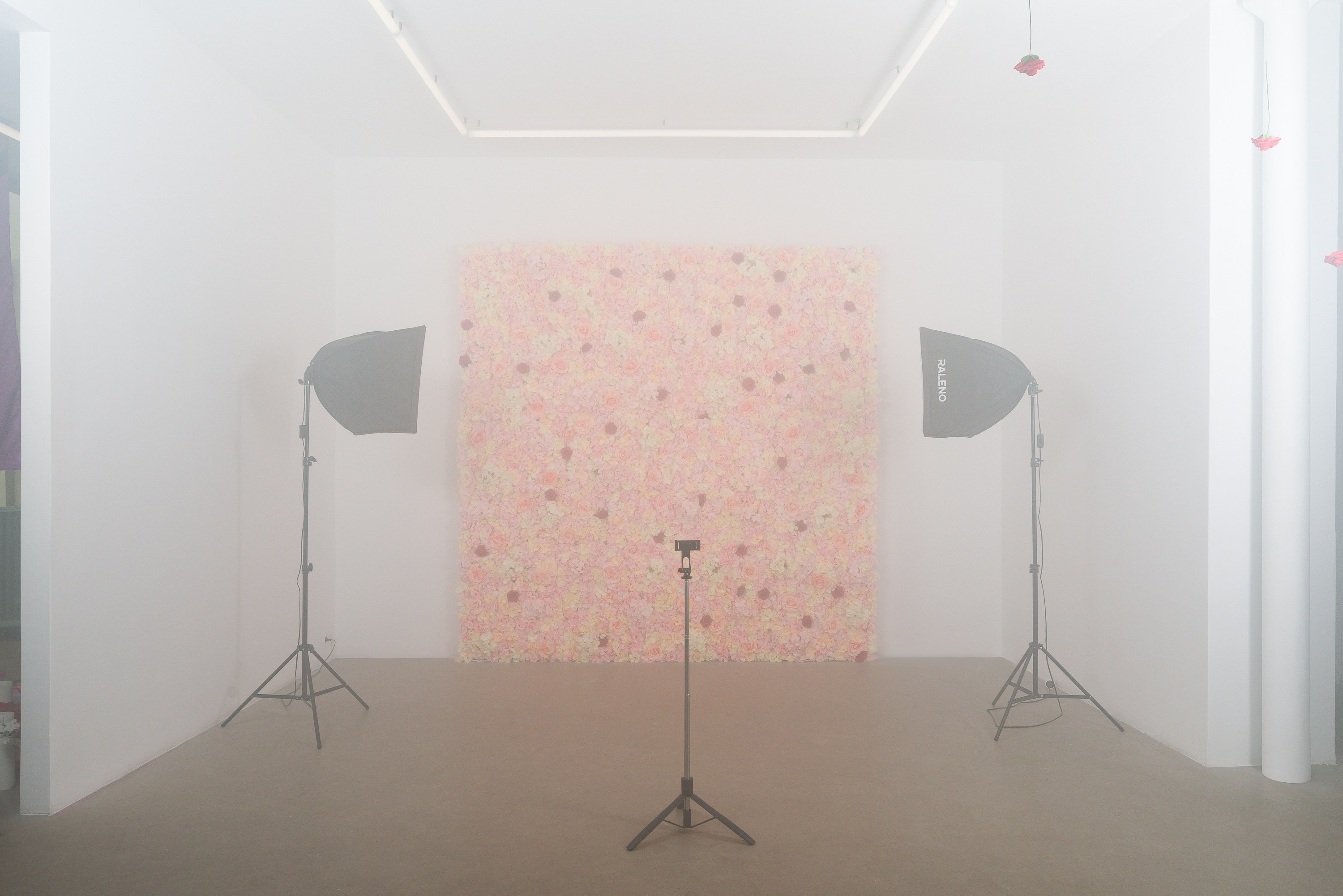 Puppies Puppies (Jade Guanaro Kuriki-Olivo), Trigger Warning at Galerie Balice Hertling, photo 4