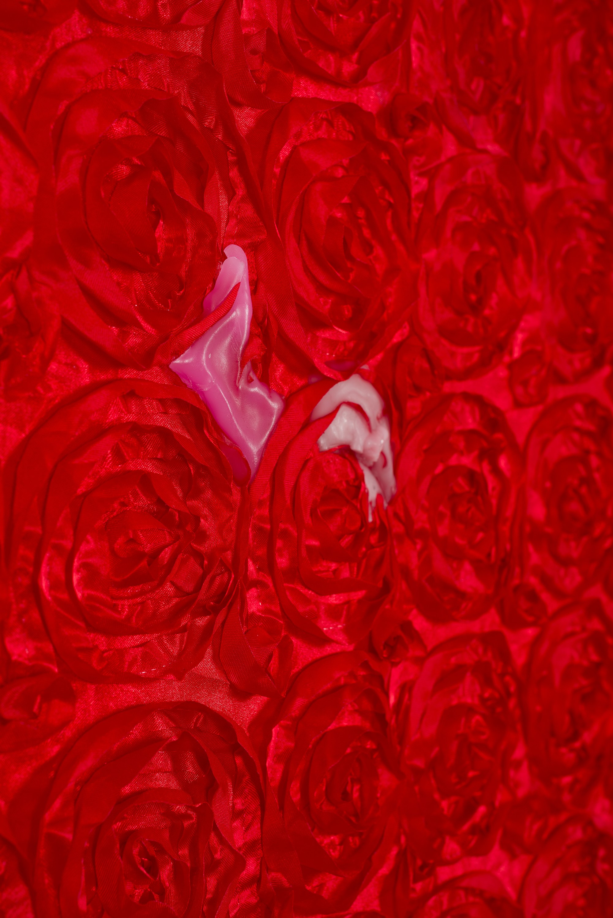 Puppies Puppies (Jade Guanaro Kuriki-Olivo), Trigger Warning at Galerie Balice Hertling, photo 45