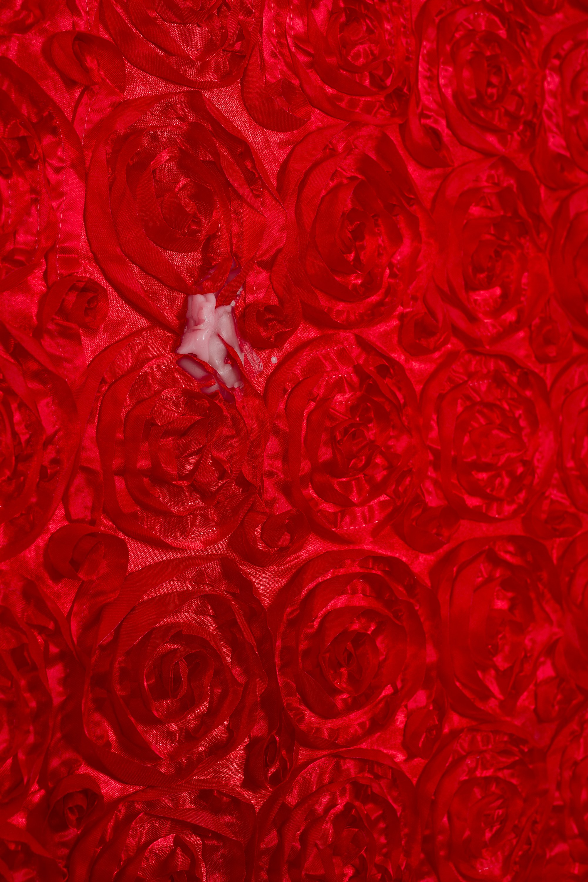 Puppies Puppies (Jade Guanaro Kuriki-Olivo), Trigger Warning at Galerie Balice Hertling, photo 46