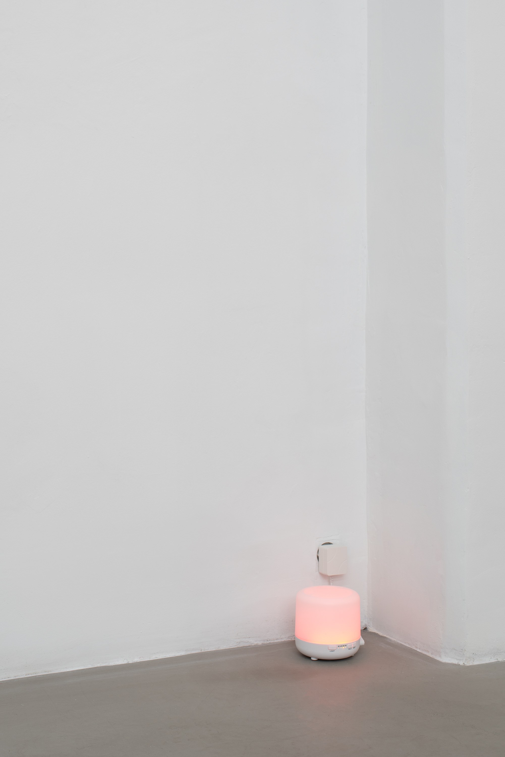 Puppies Puppies (Jade Guanaro Kuriki-Olivo), Trigger Warning at Galerie Balice Hertling, photo 48