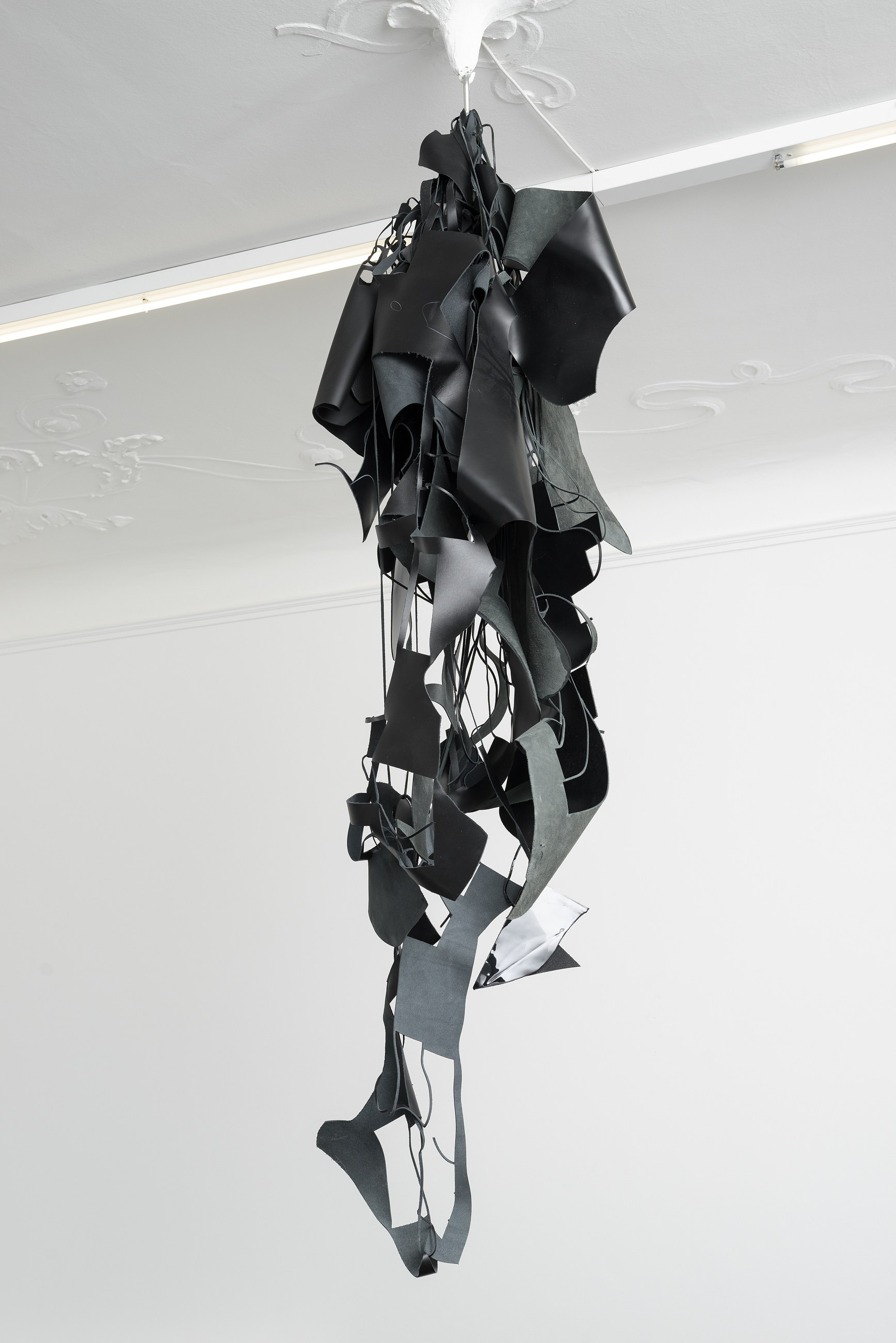 Lutz Bacher, Divine Transportation at Galerie Buchholz, Berlin, photo 3