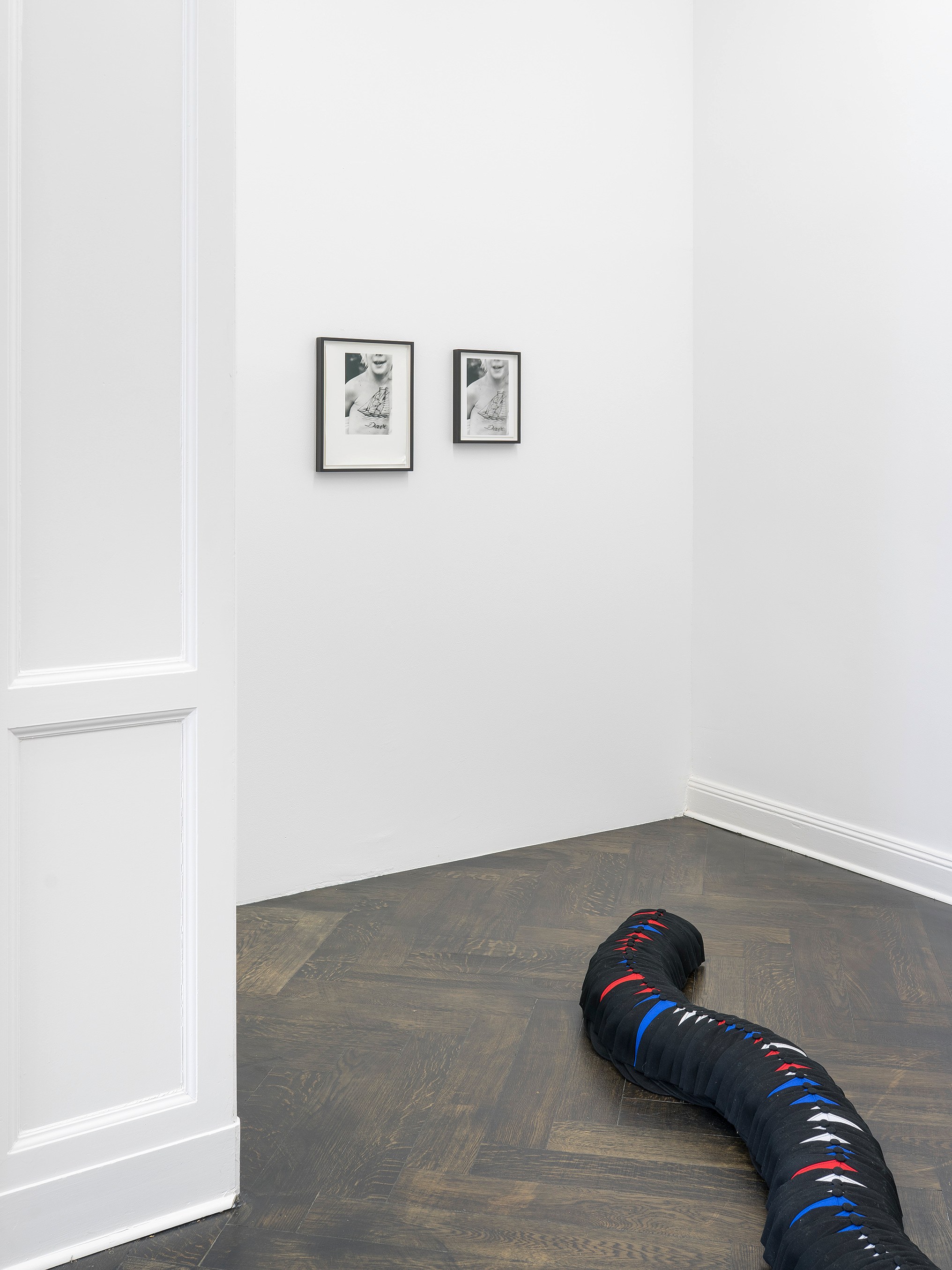 Lutz Bacher, Divine Transportation at Galerie Buchholz, Berlin, photo 17