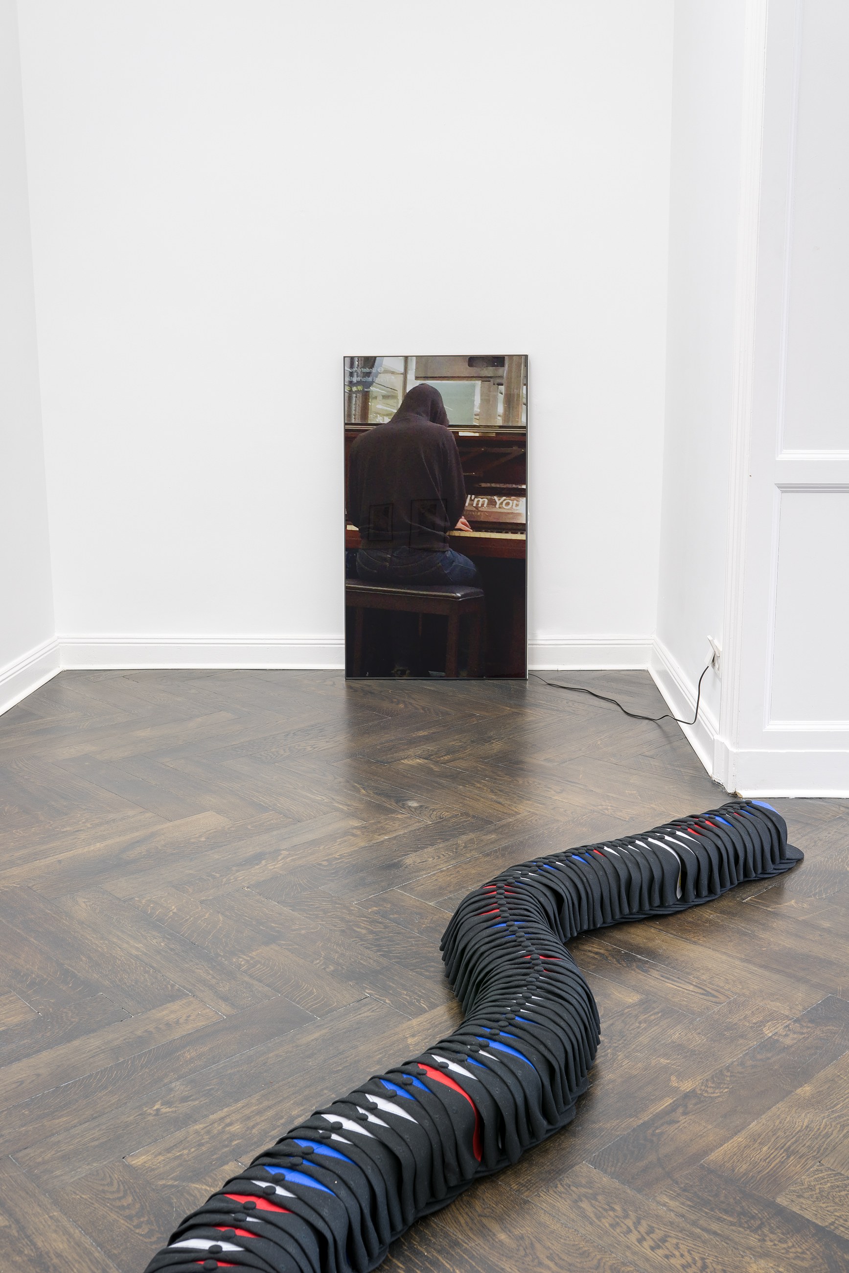 Lutz Bacher, Divine Transportation at Galerie Buchholz, Berlin, photo 18
