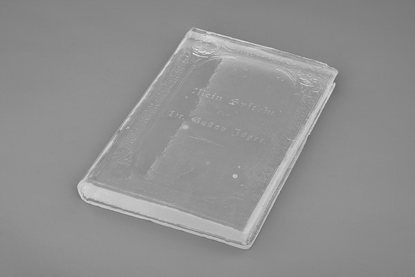 Image 10 of 21