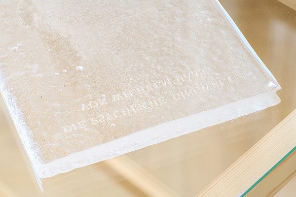 Image 11 of 21