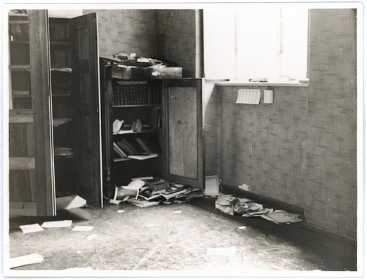 Image 13 of 21