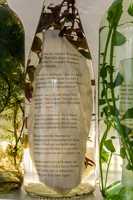 Image 18 of 19
