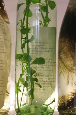 Image 19 of 19