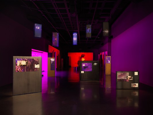 A dark room with purple walls is occupied by video projections and illuminated artworks on the floor and ceiling, creating an effect like overlapping windows on a computer screen. A purple glow comes from a tinted window on the left side. Freestanding panels are scattered throughout the room, each with colorful abstractions and other images mounted to them. Blue banners with abstracted plant designs hang from the ceiling and a red video projection glows on the far wall.