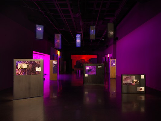 A dark room with purple walls is occupied by video projections and illuminated artworks on the floor and ceiling, creating an effect like overlapping windows on a computer screen. A purple glow comes from a tinted window on the left side. Freestanding panels are scattered throughout the room, each with colorful abstractions and other images mounted to them. Blue banners with abstracted plant designs hang from the ceiling and a red video projection, showing a person lying on their back, glows on the far wall.