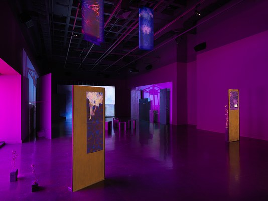 Freestanding metal panels are scattered across a dark gallery, with drawings and saturated abstract images mounted to them. Interspersed with the panels are dried thistle plants stuck into concrete bricks. Video projections onto uneven panels are visible in the background.