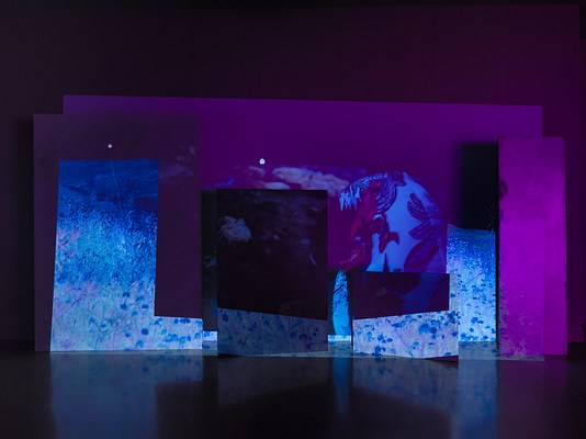 A saturated blue and purple video is projected onto an uneven surface of overlapping rectangular panels. Onscreen, video footage of a blooming field fills the frame of the video. A darker frame-within-frame is less distinct, with abstracted footage of what might be a figure.