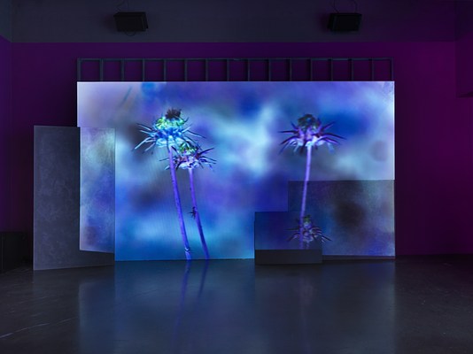 A saturated blue and purple video is projected onto an uneven surface of overlapping rectangular panels. Onscreen, high-contrast thistle plants appear sharp against a blurry abstracted blue background.