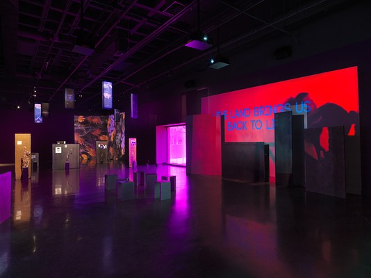 In the foreground on the right, a saturated red video is projected onto an uneven surface of overlapping rectangular panels. The video depicts a person in movement with text overlaid that reads “the land brings us back to life.” The left side of the image shows more distant artworks scattered throughout the room: freestanding panels with images mounted on them, dried thistle plants, hanging banners. Footage of orange and yellow flowers is projected onto the back corner.