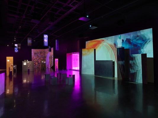 In the foreground on the right, a blue and orange video of moving figures is projected onto an uneven surface of overlapping rectangular panels. The left side of the image shows more distant artworks scattered throughout the room: freestanding panels with images mounted on them, dried thistle plants, hanging banners. Footage of orange and yellow flowers is projected onto the back corner.