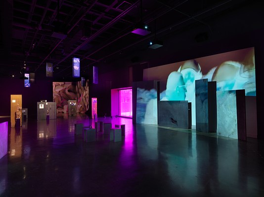 In the foreground on the right, a sickly blue video is projected onto an uneven surface of overlapping rectangular panels. It shows a man in glasses engaging two figures with army harmets. The left side of the image shows more distant artworks scattered throughout the room: freestanding panels with images mounted on them, dried thistle plants, hanging banners. Footage of abstracted plants is projected onto the wall.