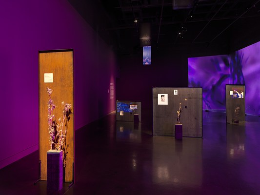 In the foreground to the left, a freestanding metal panel with a rusty brown surface has a small square of text mounted on it. In front of the panel, dried thistle plants sprout from the top of a stack of concrete bricks. More panels, thistle, and a purple video projection are visible in the background.