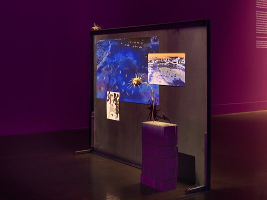 A vertical metal panel is spotlit and bolted to the floor. Affixed to the panel, a large abstract blue photograph is overlaid with a smaller abstracted image, perhaps a landscape. Overlapping the lower edge of the blue image, a small drawing depicting a woman with marks across her torso and a black cactus behind her is affixed to the panel. In front of the panel, a stack of bricks with a thistle growing out of them is displayed. On the purple wall in the background, text in the upper right corner peeks into the frame.