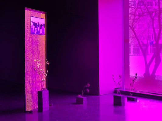 A room is bathed in purple light coming from a tinted window, through which trees and a building are visible. In the foreground, a textured metal panel has a saturated image of figures dancing affixed to it. Four thistle plants appear to sprout from stacks of bricks scattered across the floor at various heights.
