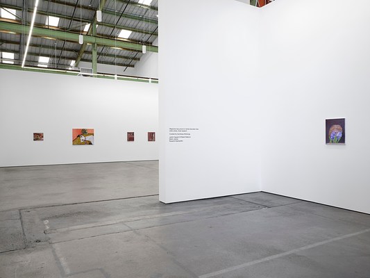 Image 11 of 27