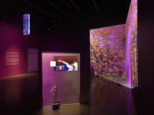 In the foreground, a rectangular metal panel has images affixed to its surface, including a photograph of a figure moving their arm in inverted tones. A small stack of bricks with a thistle growing out of it sits in front of the panel. Footage of yellow flowers is projected onto the back right corner of the room. In the top left corner, a blue banner hangs from the ceiling.