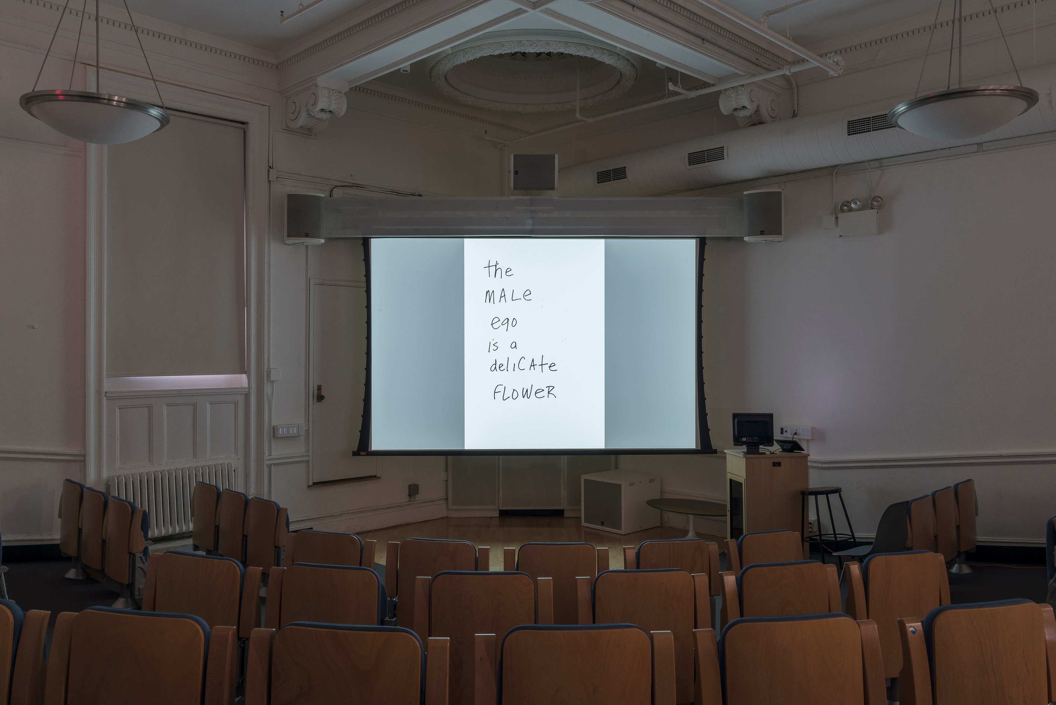 Lutz Bacher, The Long March at 80WSE, photo 22