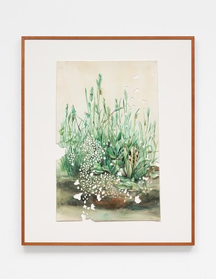 Image 3 of 17