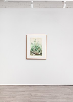 Image 2 of 17