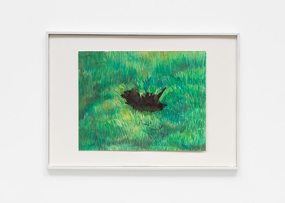 Image 6 of 17