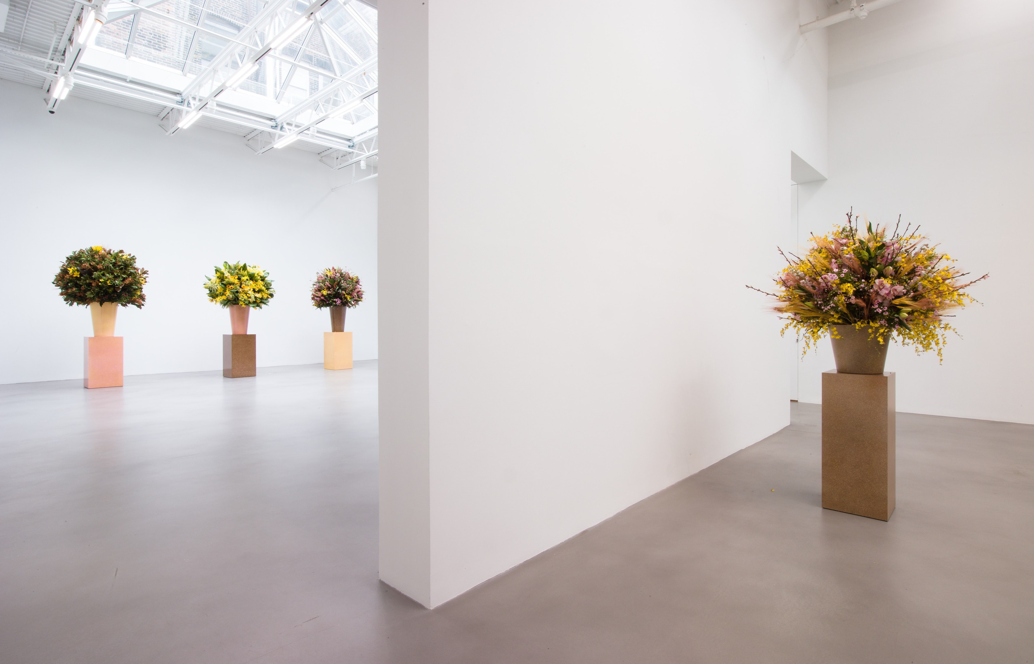 Willem de Rooij, Rye Wonk at Petzel, photo 21
