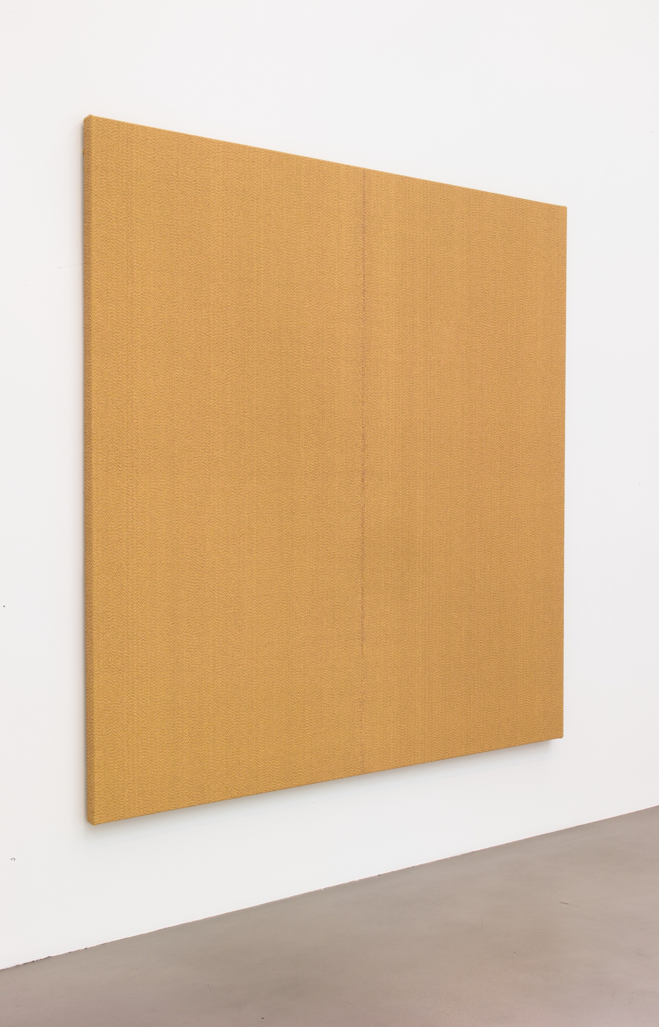 Willem de Rooij, Rye Wonk at Petzel, photo 44