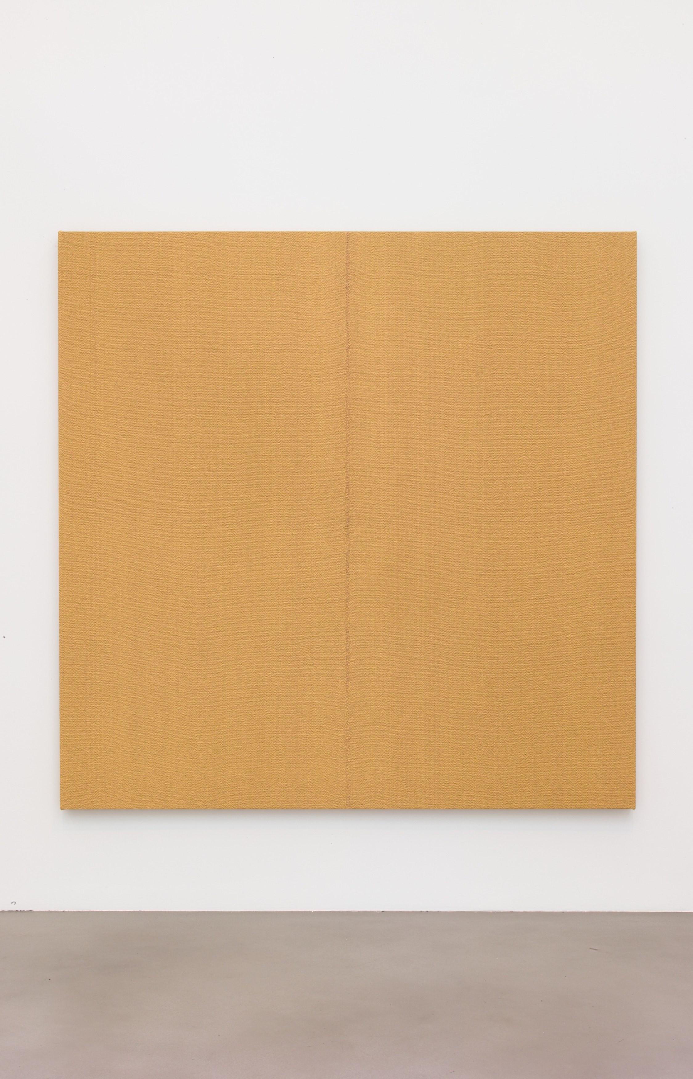 Willem de Rooij, Rye Wonk at Petzel, photo 50