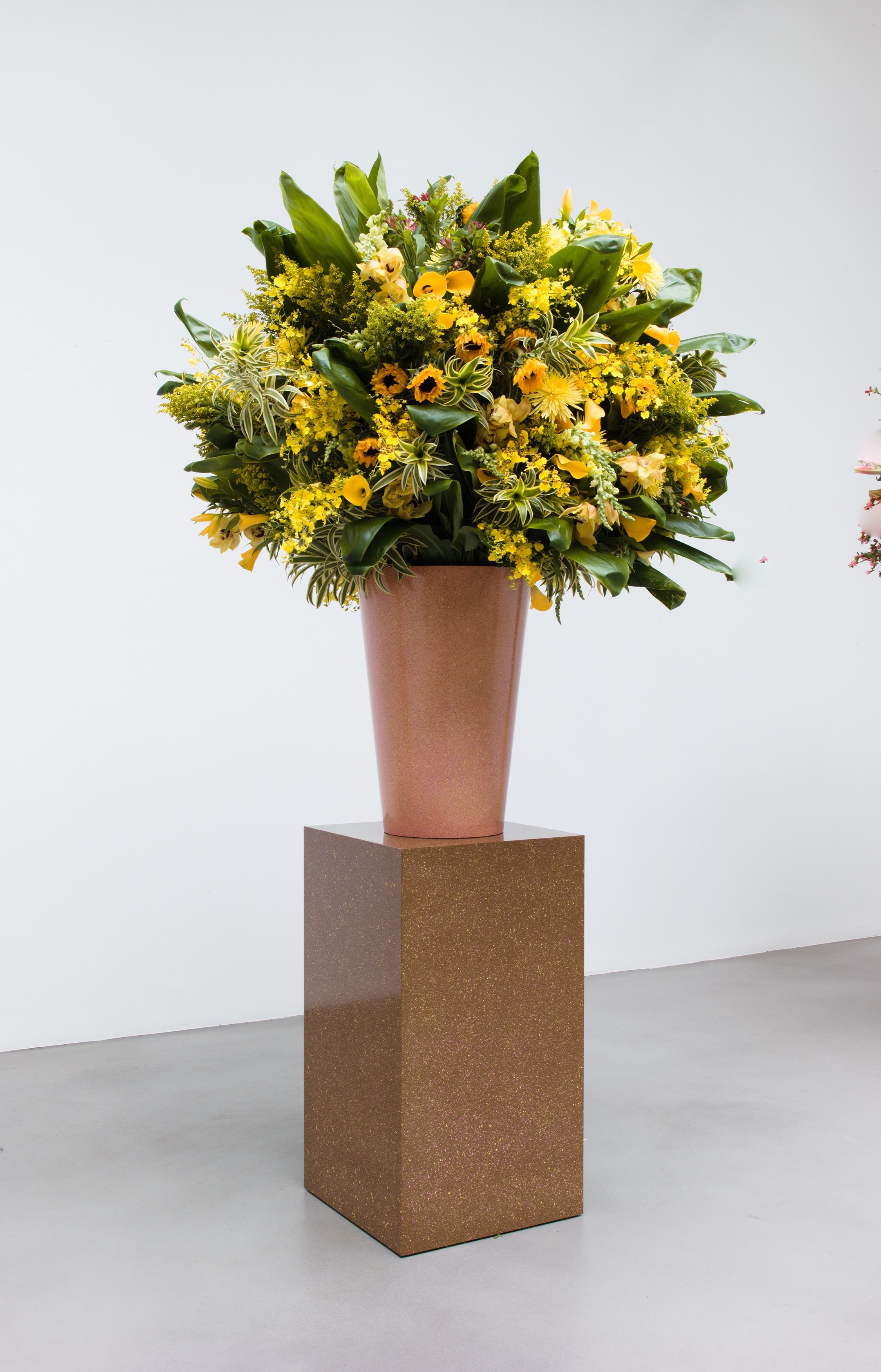 Willem de Rooij, Rye Wonk at Petzel, photo 33