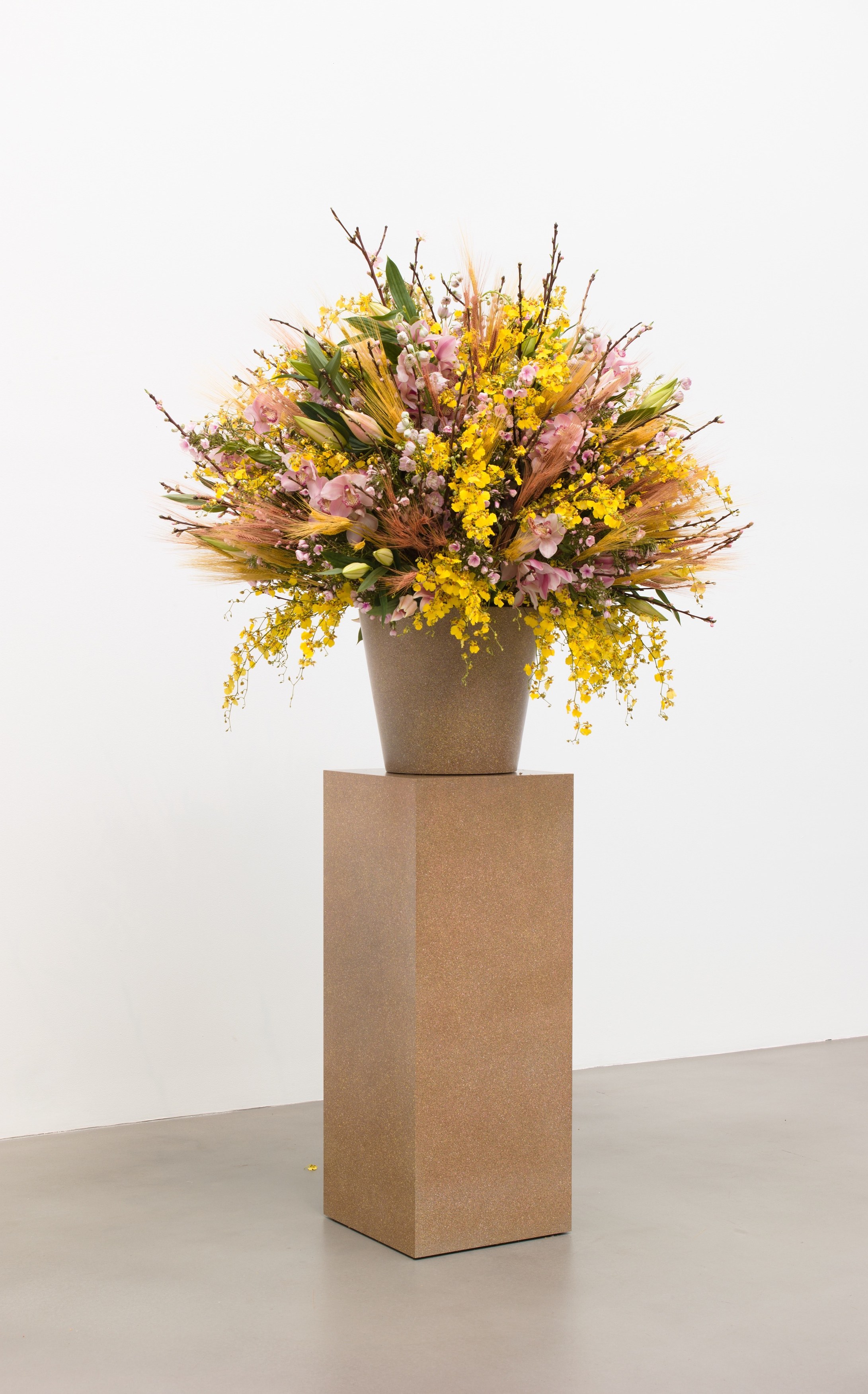 Willem de Rooij, Rye Wonk at Petzel, photo 36