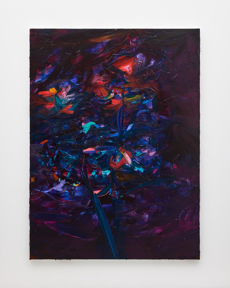 Jadé Fadojutimi Contemporary Art Library