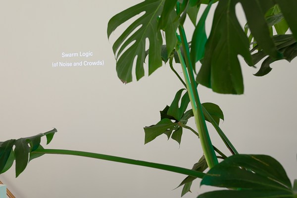 Image 16 of 57