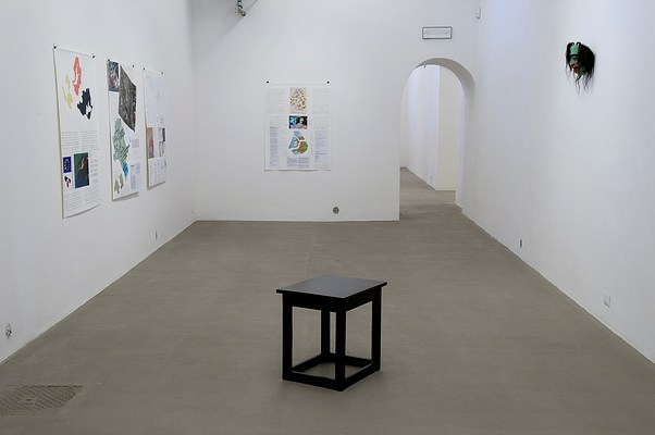 Image 2 of 11