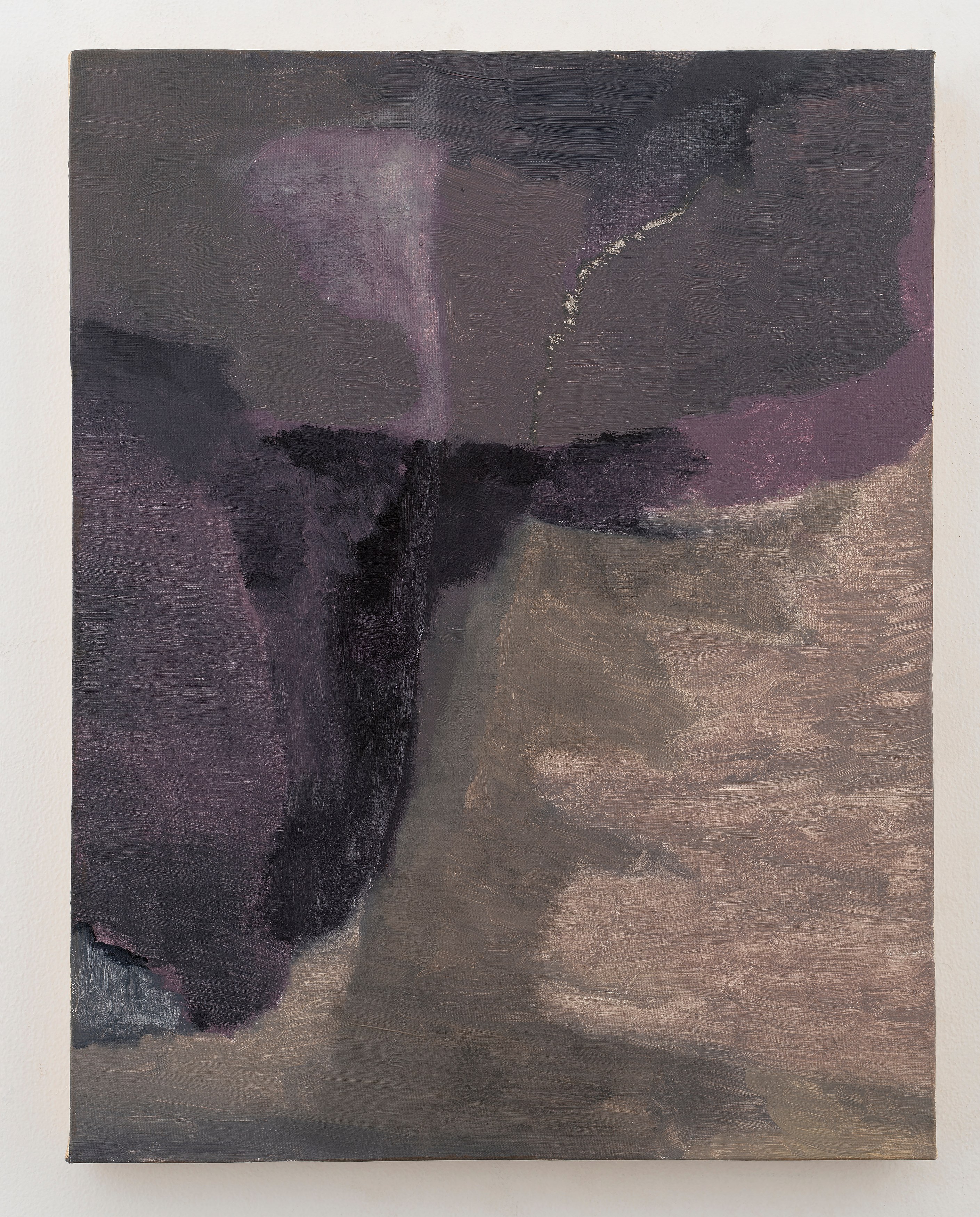 Biraaj Dodiya, Cezary Poniatowski, News from home at Galerie Derouillon, photo 28