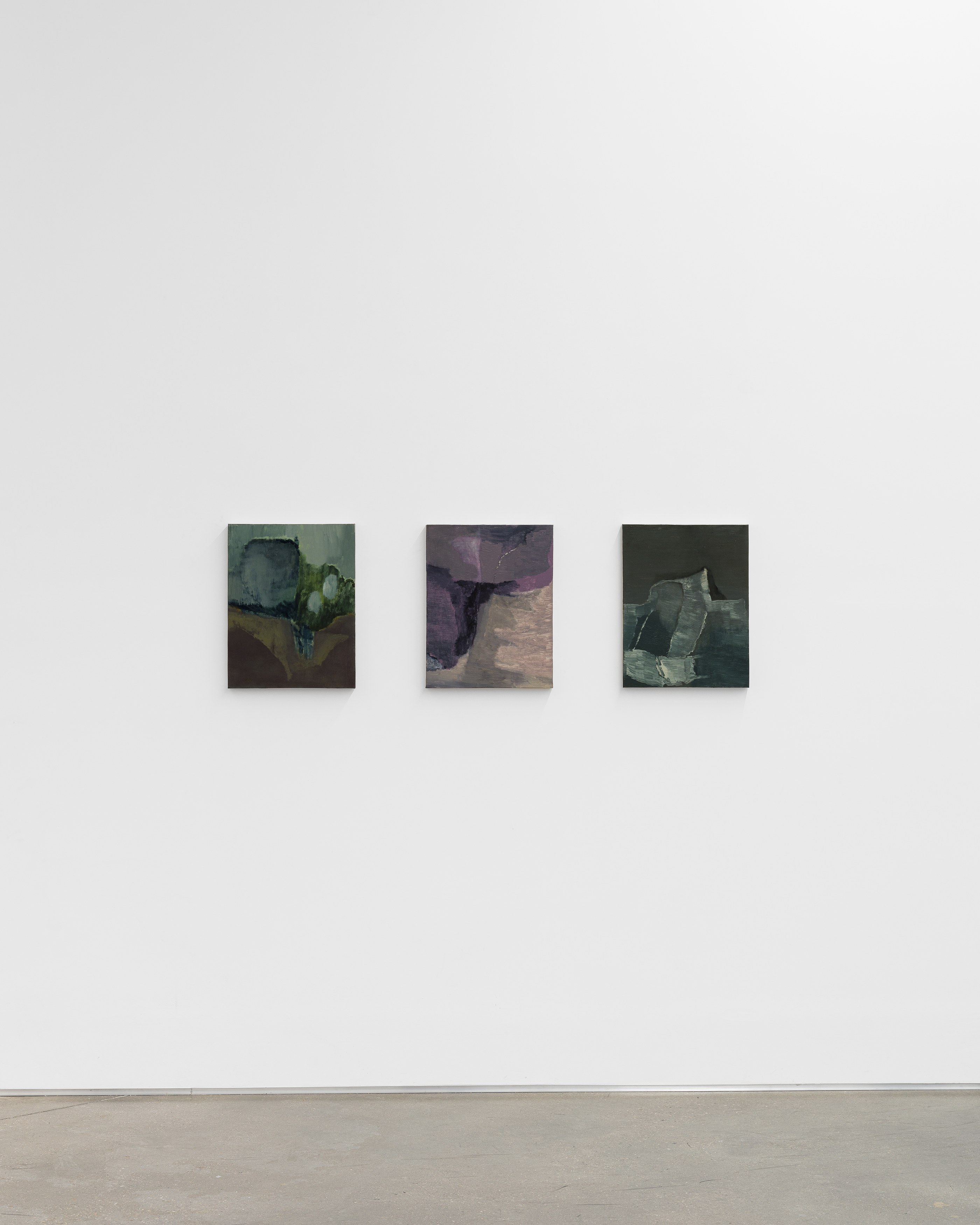 Biraaj Dodiya, Cezary Poniatowski, News from home at Galerie Derouillon, photo 22