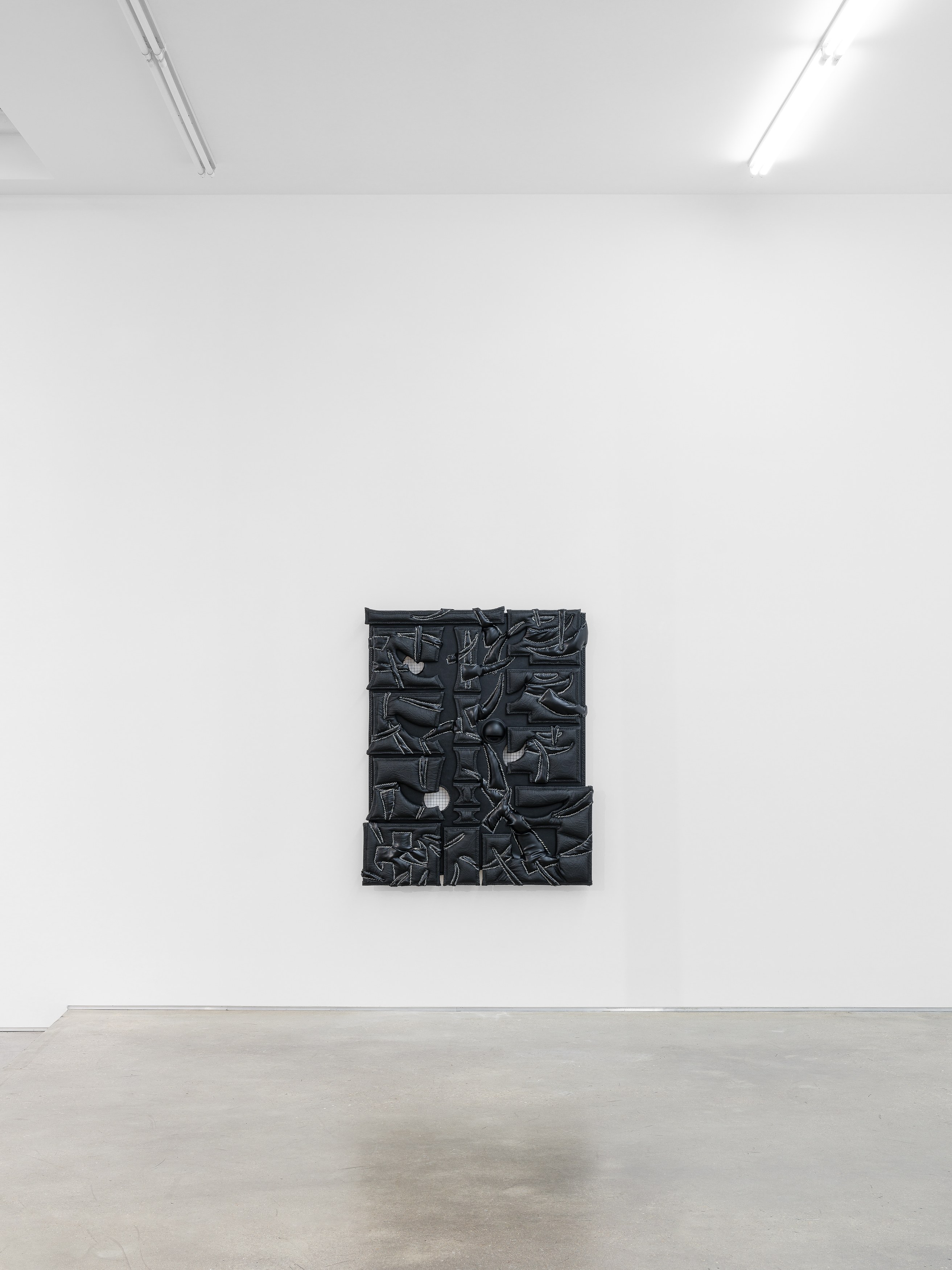 Biraaj Dodiya, Cezary Poniatowski, News from home at Galerie Derouillon, photo 2