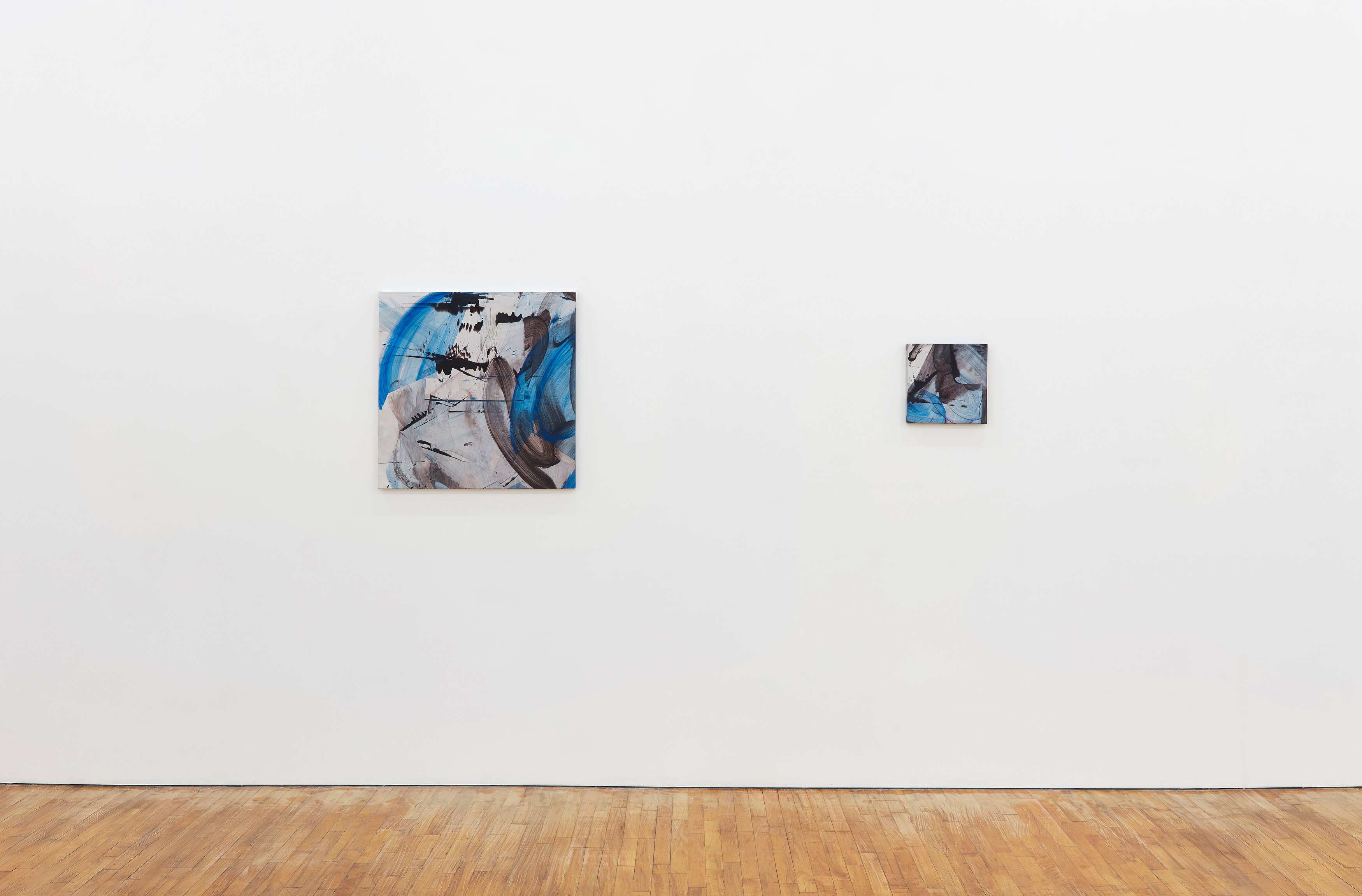 Violet Dennison, Damaged Self at Tara Downs, photo 5