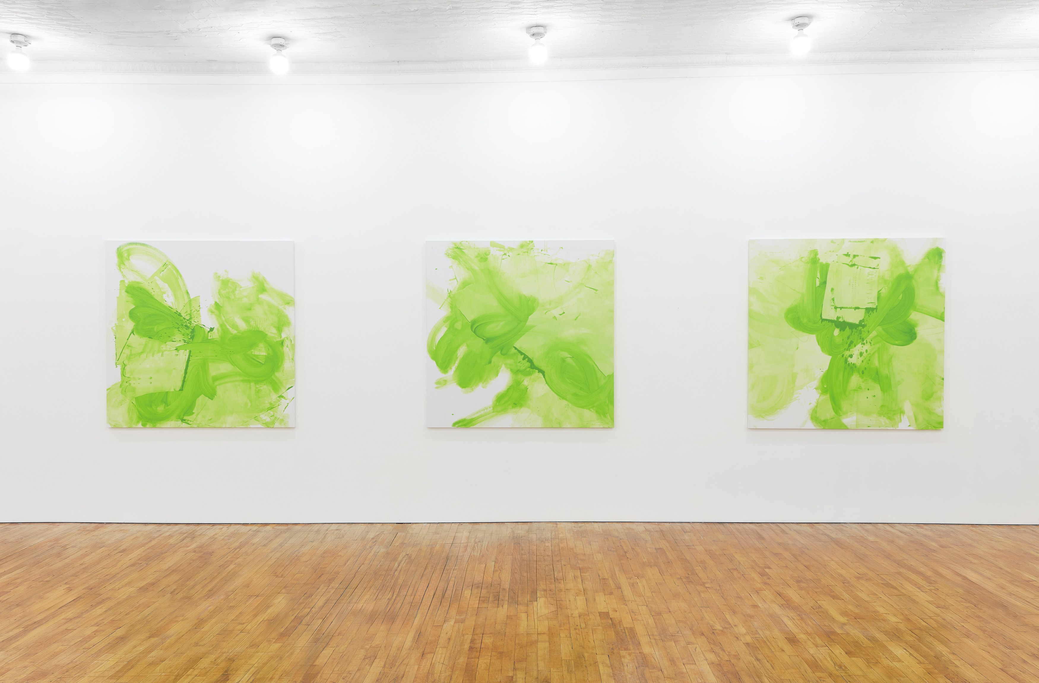 Violet Dennison, Damaged Self at Tara Downs, photo 11