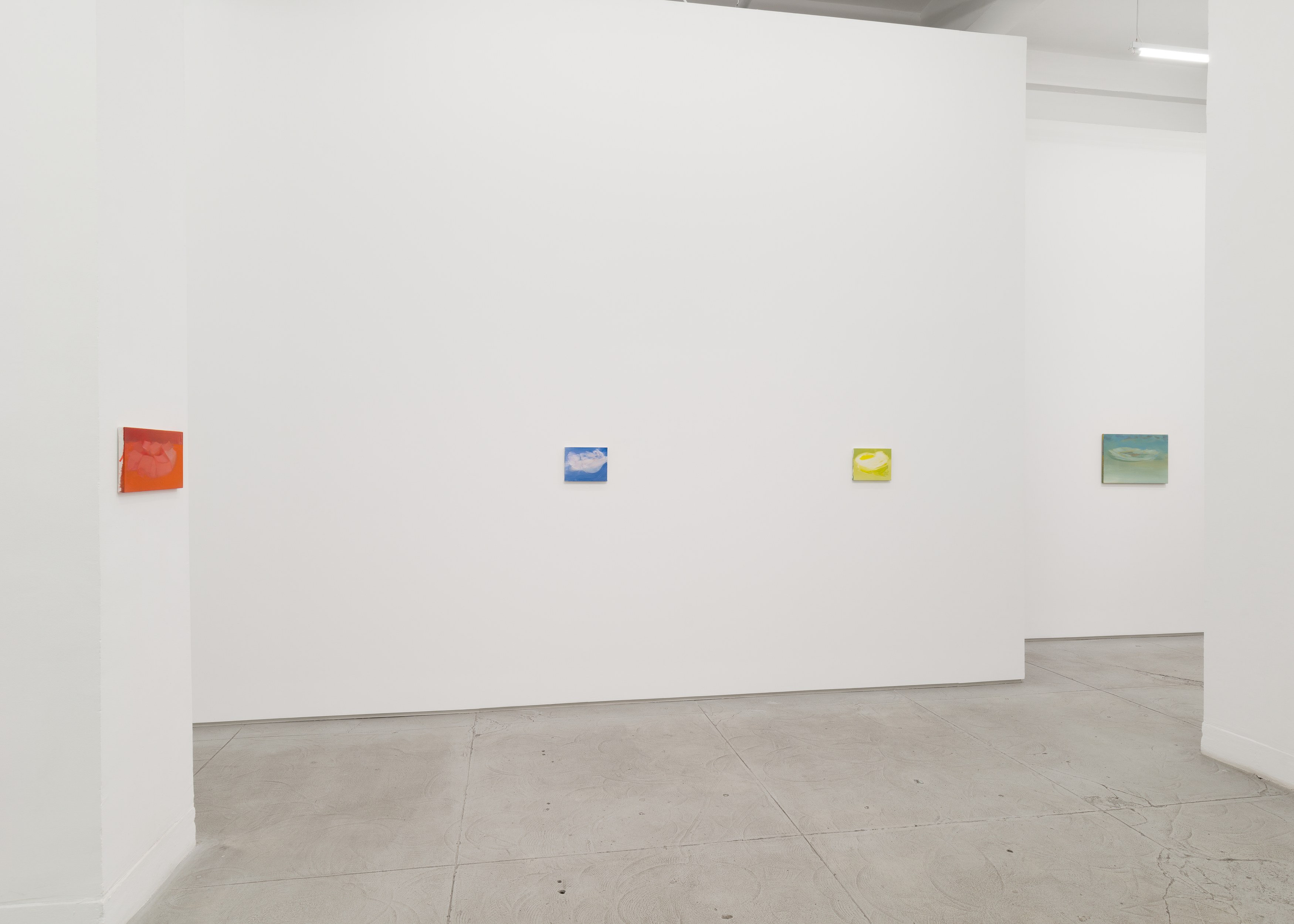 Installation view 6