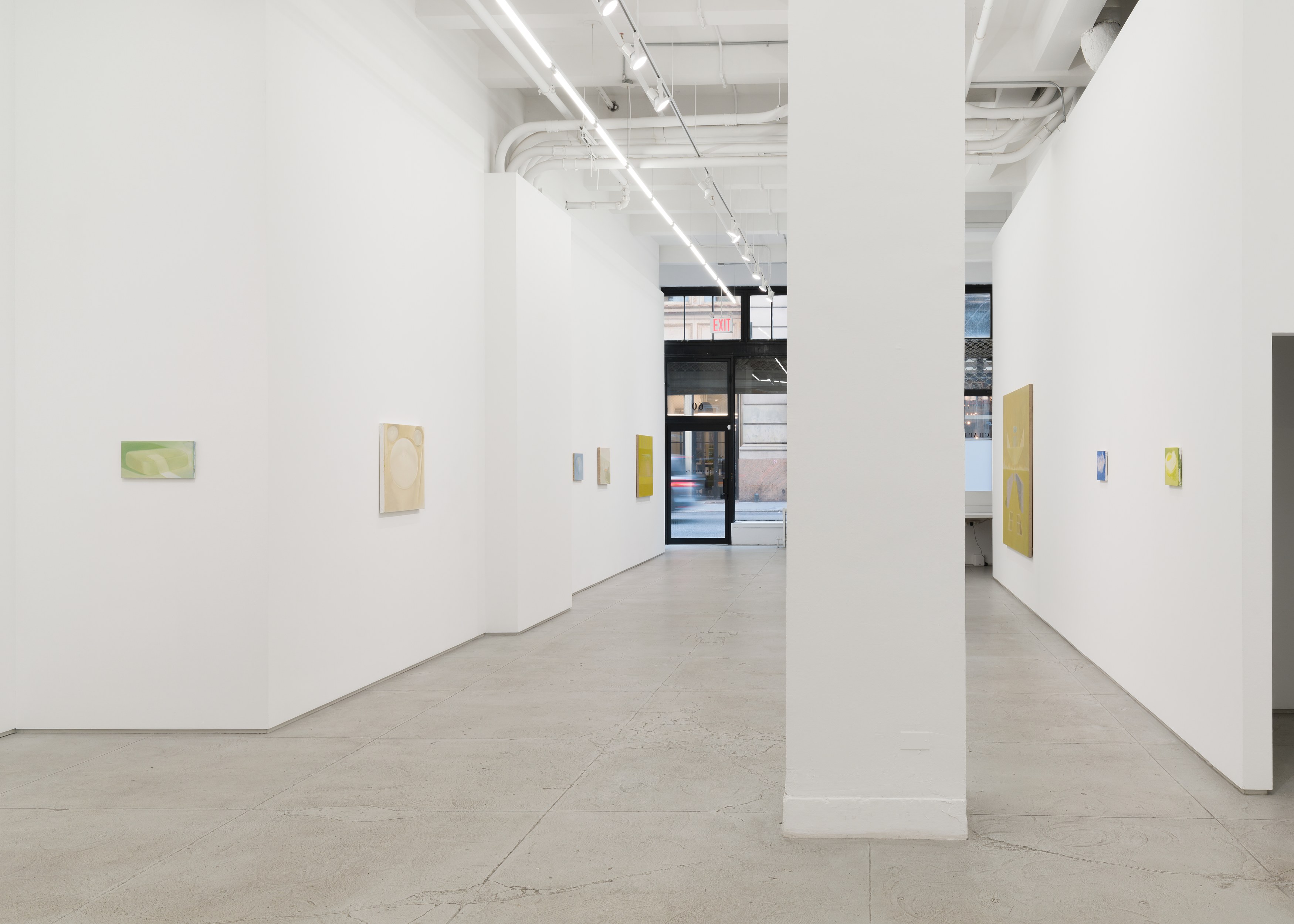 Mary Stephenson, Heart Throbs at Chapter NY, photo 14