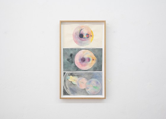 Image 2 of 40