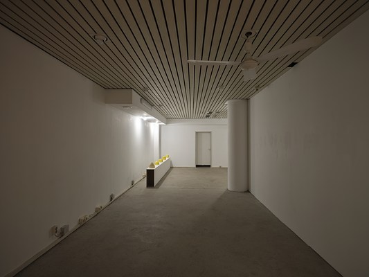 Image 1 of 17