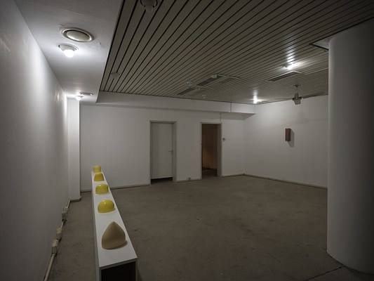 Image 3 of 17