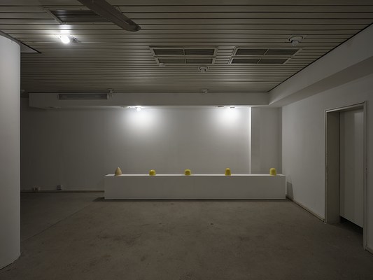 Image 7 of 17